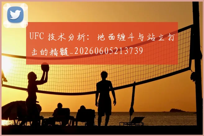 UFC 技术分析:地面缠斗与站立打击的精髓_20260605213739