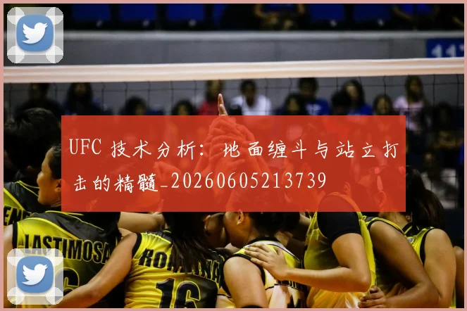 UFC 技术分析:地面缠斗与站立打击的精髓_20260605213739