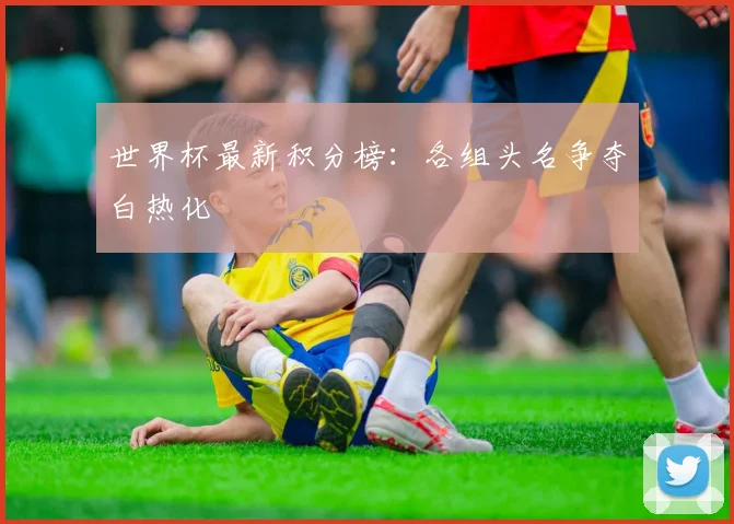 世界杯最新积分榜:各组头名争夺白热化